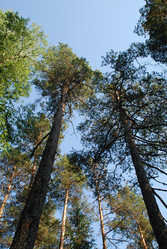 Similar image 21143039