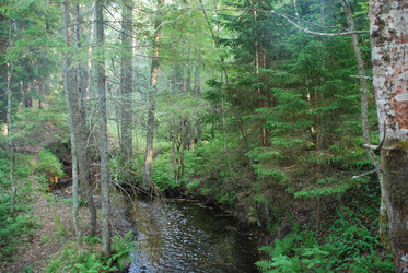 Similar image 21143043