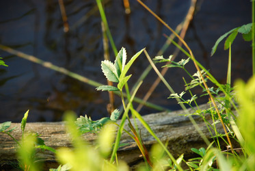 Similar image 21143044