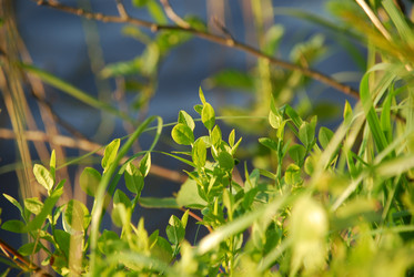 Similar image 21143045