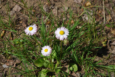 Similar image 21143047