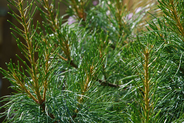 Similar image 21143050