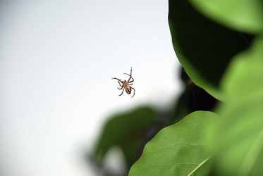 Similar image 21143052