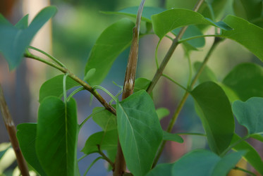 Similar image 21143053