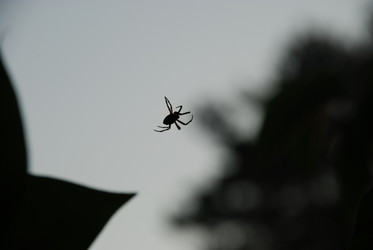 Similar image 21143054