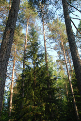 Similar image 21143059