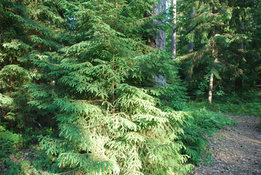 Similar image 21143060