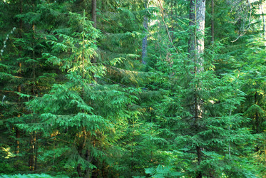 Similar image 21143062