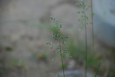 Similar image 21143064