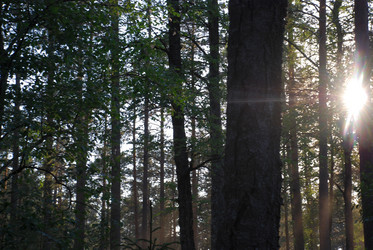 Similar image 21143065