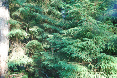 Similar image 21143067