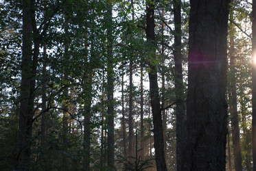 Similar image 21143071