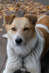 Similar image 21137230