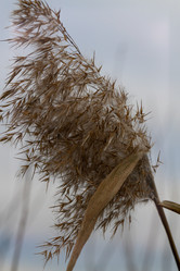 Similar image 21137232