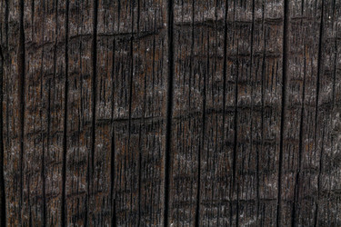 Similar image 21137234