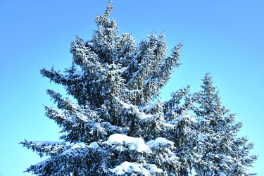 Similar image 21144335