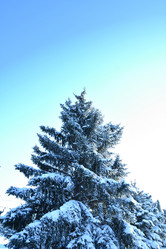 Similar image 21144338