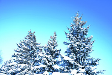 Similar image 21144610