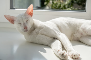 Similar image 21136420