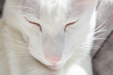 Similar image 21136422