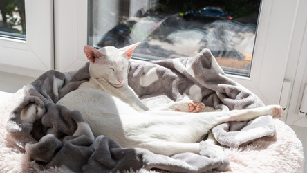 Similar image 21136425