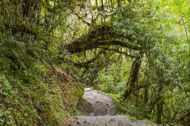 Similar image 21136451