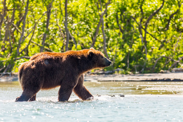 Similar image 21136455