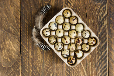 Similar image 21150730