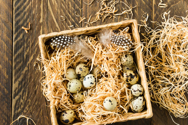 Similar image 21150734