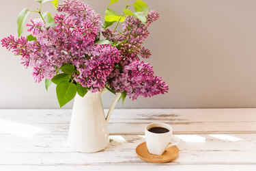 Similar image 21150742