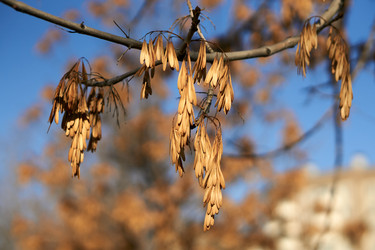 Similar image 21139663