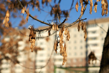 Similar image 21139664