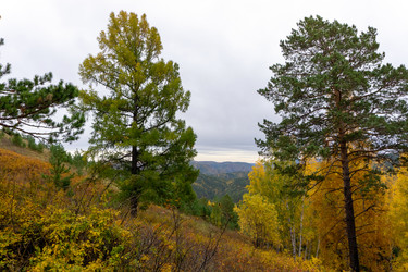 Similar image 21136076