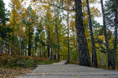 Similar image 21136083