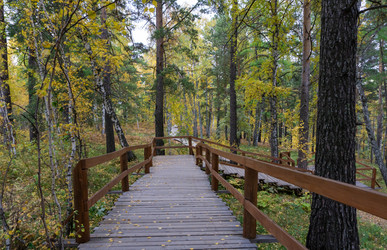 Similar image 21136084