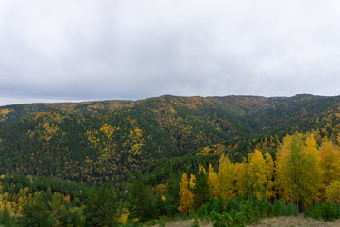 Similar image 21136085