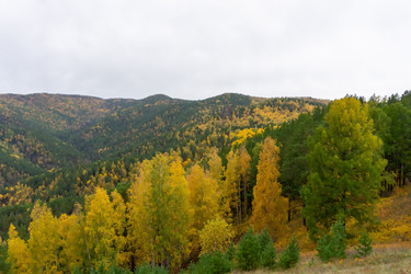 Similar image 21136087