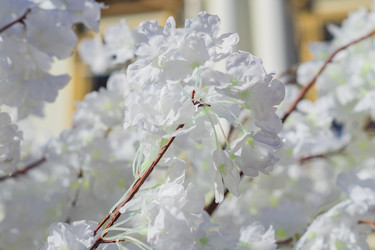 Similar image 21164885