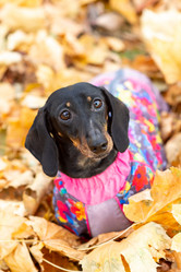 Similar image 21136092