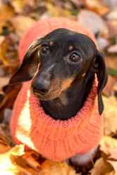 Similar image 21136094