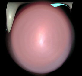 Similar image 21137664