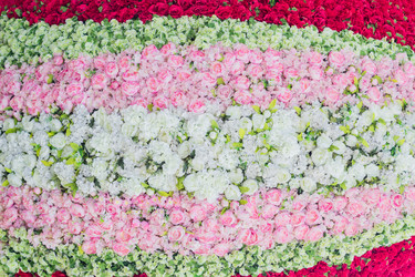 Similar image 21164908