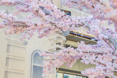 Similar image 21164913