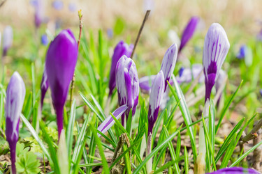 Similar image 21164923