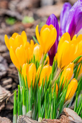 Similar image 21164931