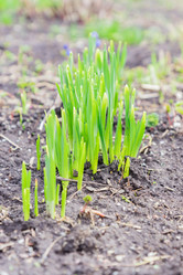 Similar image 21164935