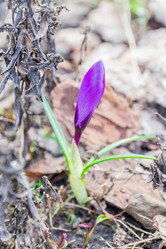 Similar image 21164937