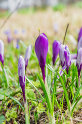 Similar image 21164939