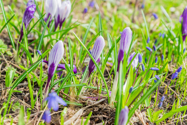 Similar image 21165269