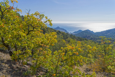 Similar image 21136606